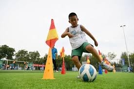 系统局了？柔佛全场狂轰48脚12射正未破门，海港仅6脚射门