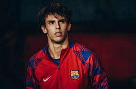 2025 年 6 月：洋基队索托单场两度被故意保送，对方教练称“宁愿输球不愿被他轰”